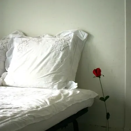 B&B Beautysleep Bed & Breakfast Rotterdam